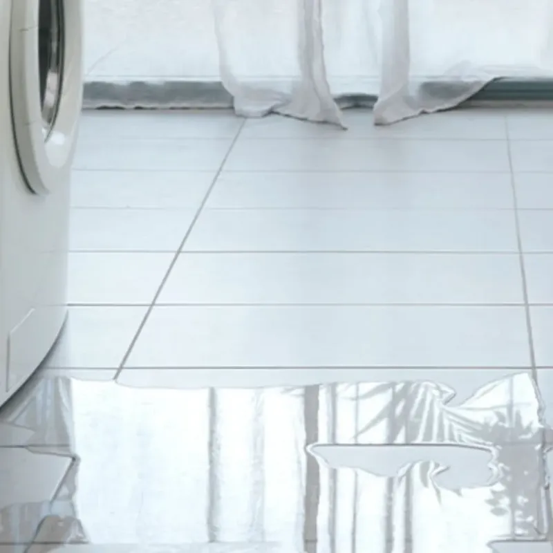 Appliance Leak Cleanup in Zena, NY