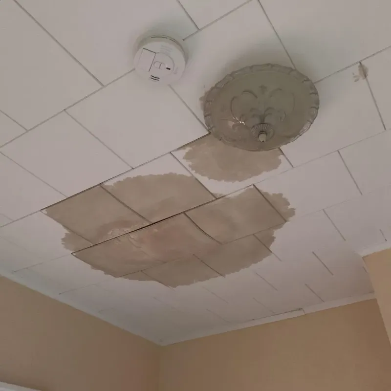 Ceiling Water Damage Repair in Zena, NY